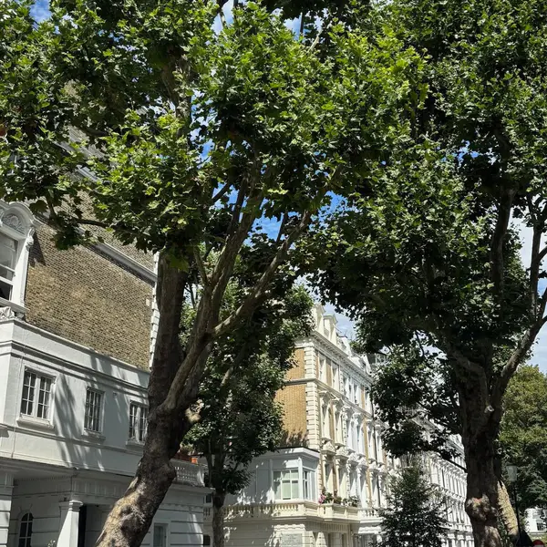 Notting Hill Gate & Linden Gardens, London W11 3JE, UK