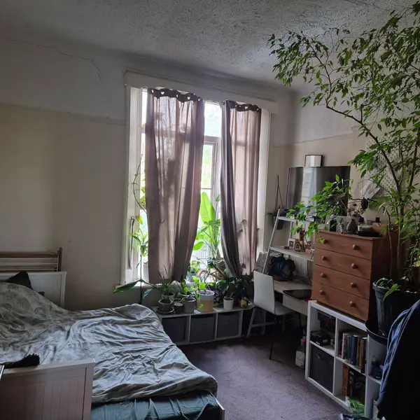 Stamford Hill, London N16 5PY, UK