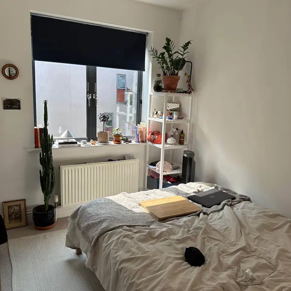 Holloway, London N7 6PN, UK