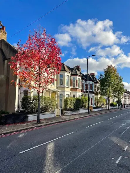 Clapham Junction Station, Clapham Junction, London SW11 2QP, UK