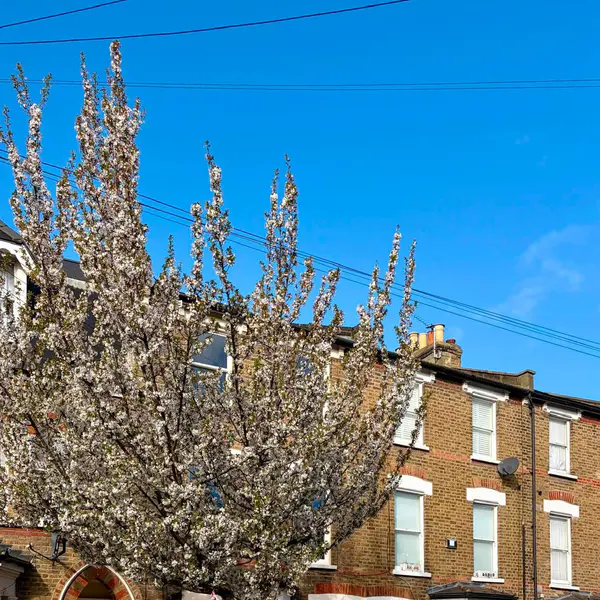 Clapham, London, UK